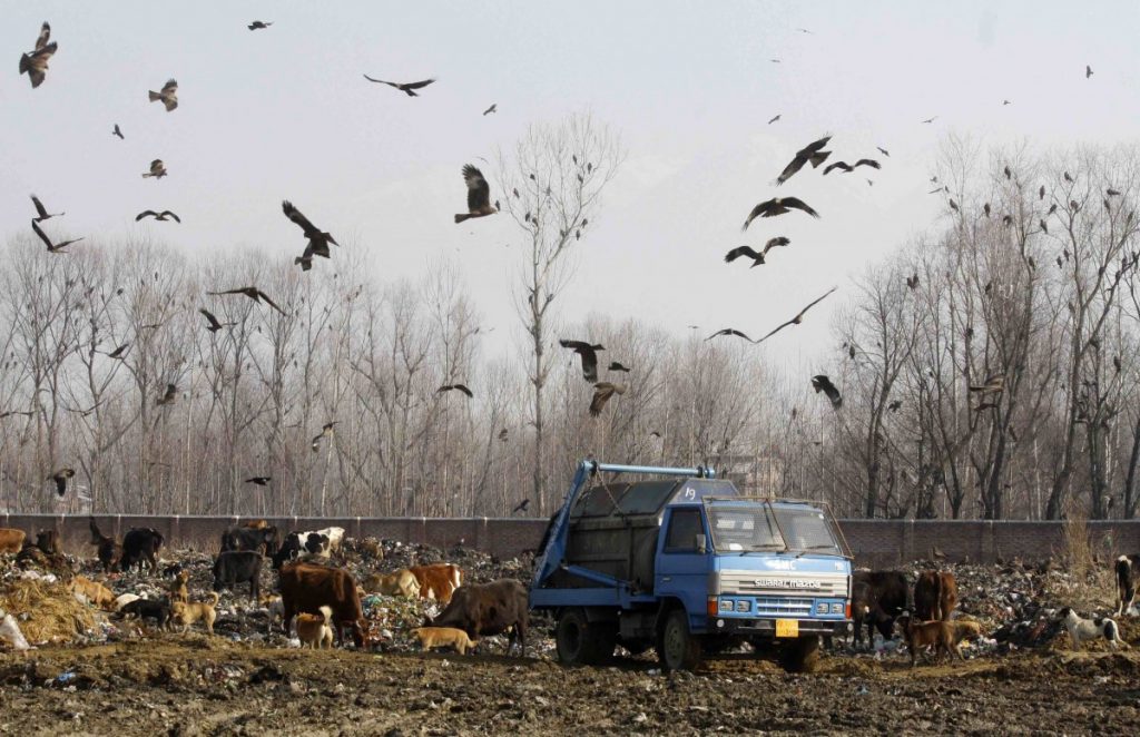J&K Government and Chief Secretary's Directives on Waste Management Welcomed by EPG