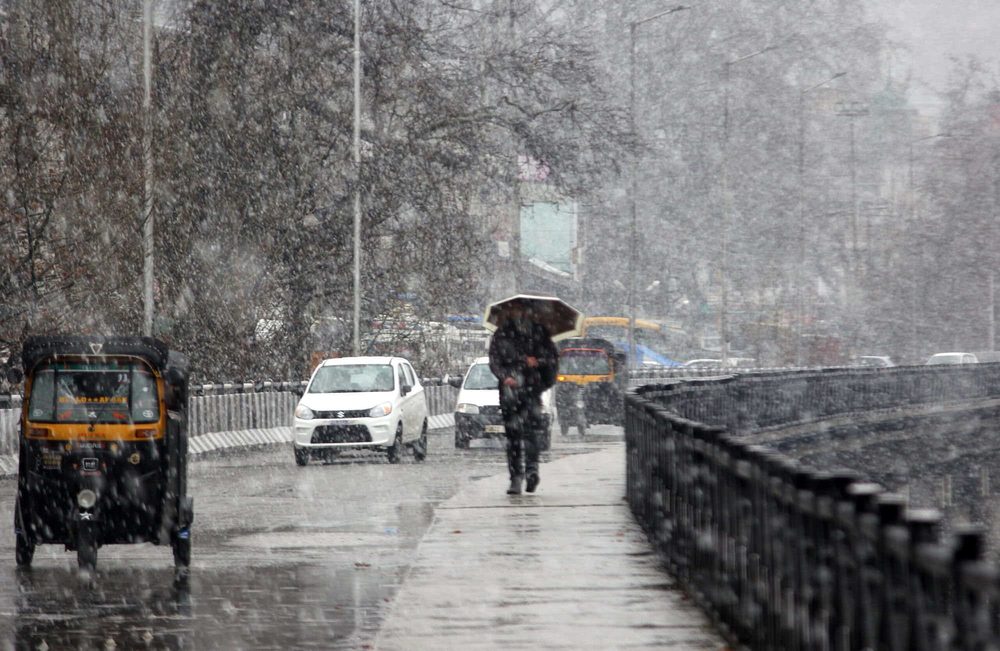 Snowfall and Rain Forecast for Kashmir: Travel and Agricultural Advisory Issued