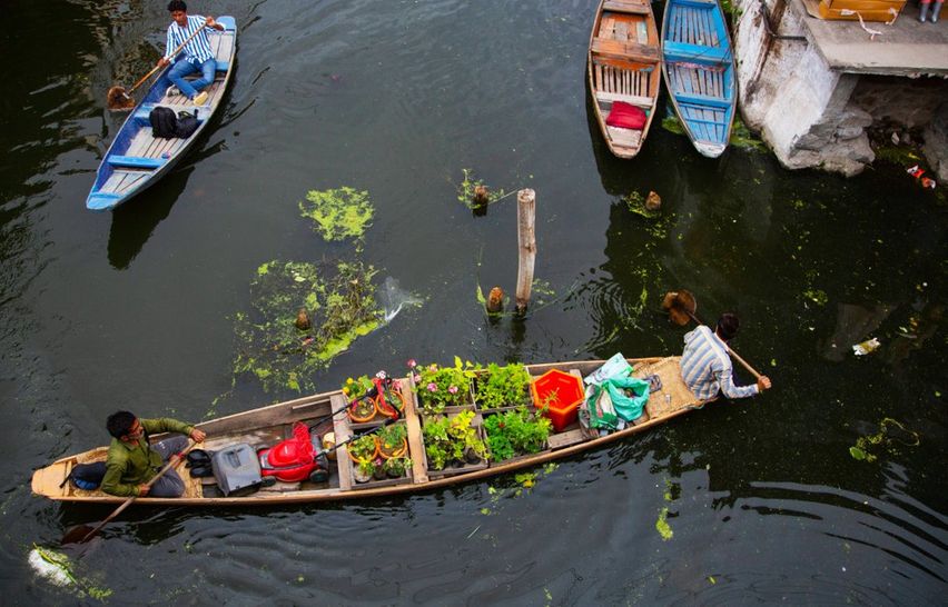 Tourists Flock to Dal Lake for Shikara Rides and Houseboat Stays