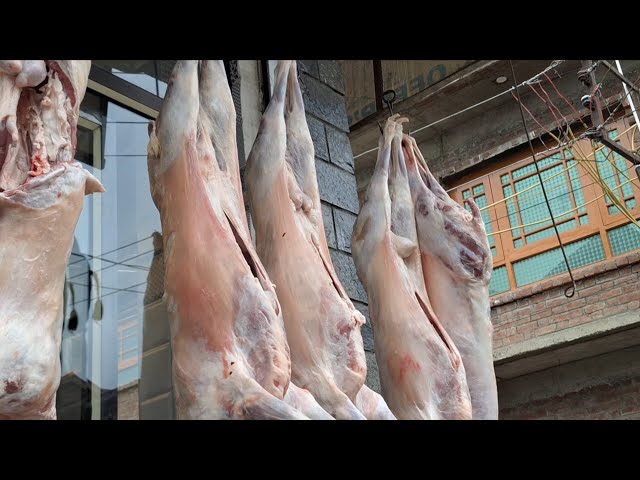 Graded Meat System in Kashmir: A New Era of Consumer Choice