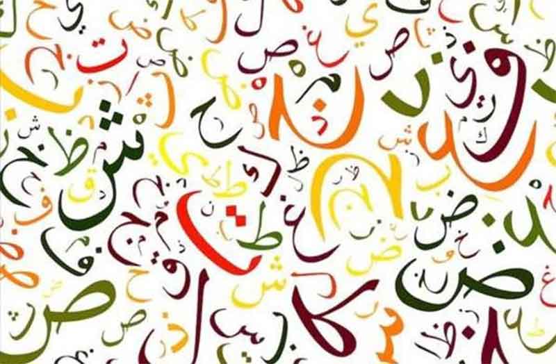 Kashmiri Language Crisis: UNESCO Report Highlights Urgent Need for Preservation | Strategies to Save a Fading Heritage