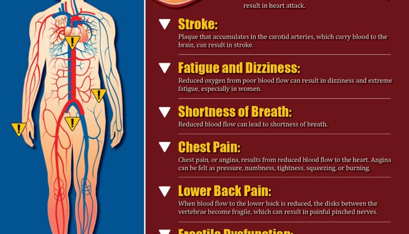 Blocked Heart Arteries: Early Signs, Prevention, Treatment, and Long-Term Wellness