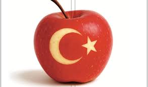 Boycott of Turkish Apples Ripens Hope for Kashmiri Orchardists!