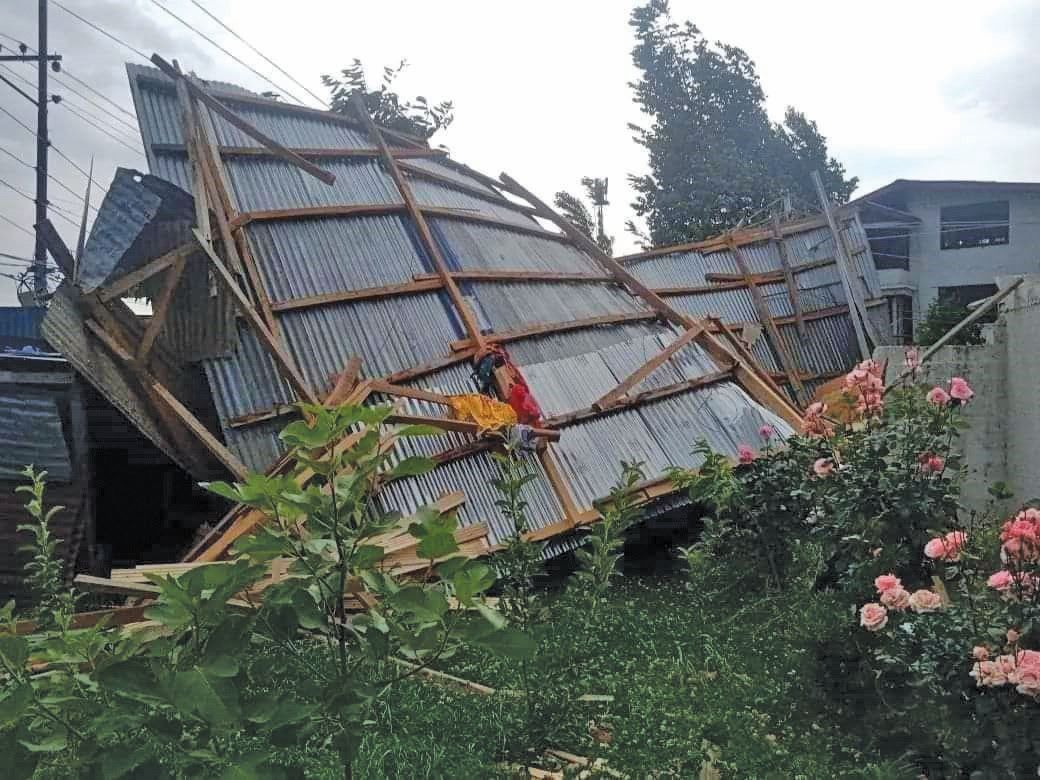 Fierce Winds Tear Through Kashmir: Uprooted Trees, Traffic Disruptions & Safety Measures