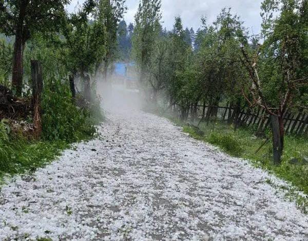 Sudden Fury: Unseasonal Hailstorm Wipes Out Crops in Kashmir’s Gurez Valley