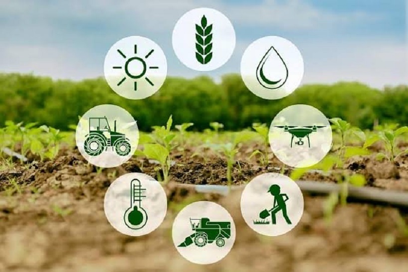 Kashmir’s Agricultural Revival: Centre Mulling Big Interventions to Empower Farmers and Rebuild the Rural Economy