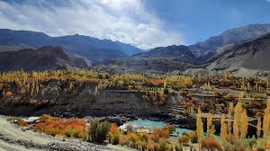 Ladakh Hosts Global Climate Expedition to Build Mountain Resilience