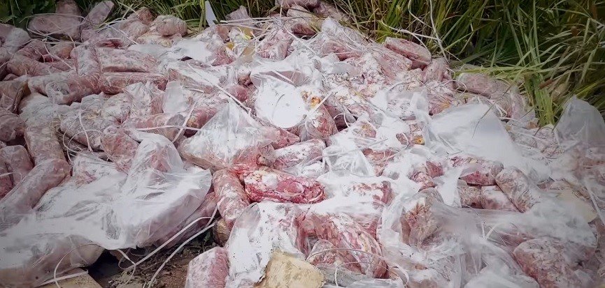 Massive Seizure of Expired Meat in Jammu Sparks Public Health Alarm