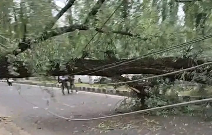 Kashmir Lashed by Gusty Winds and Heavy Rain — MeT Issues Fresh Warnings