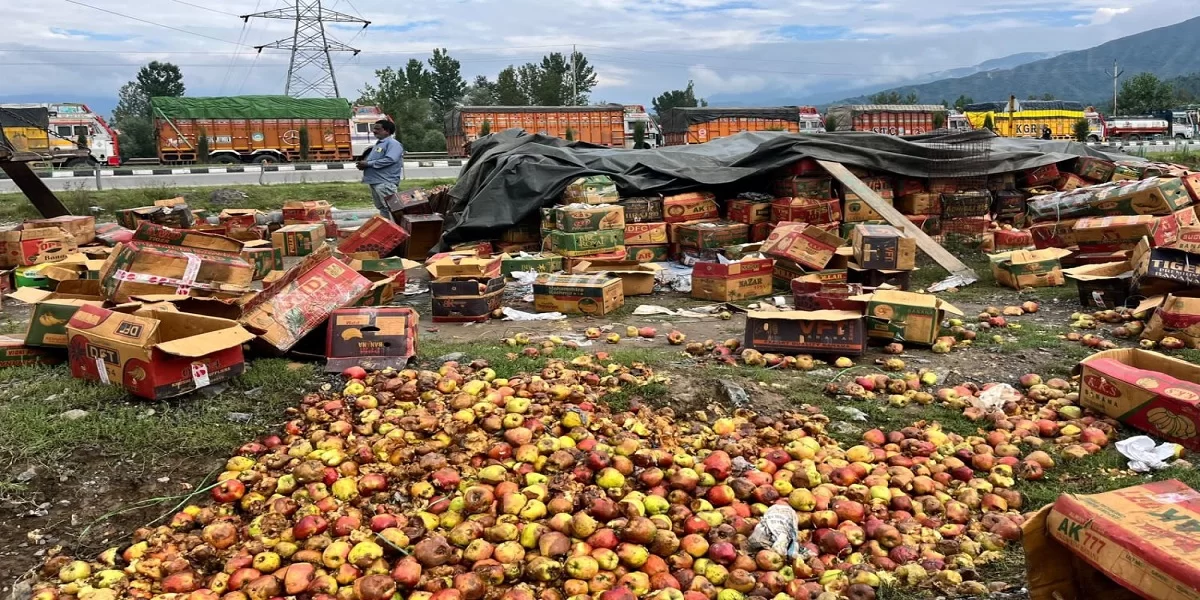 Kashmir Apple Crisis Deepens: NH-44 Blockade and Rail Bottlenecks Leave Thousands of Tones Rotting