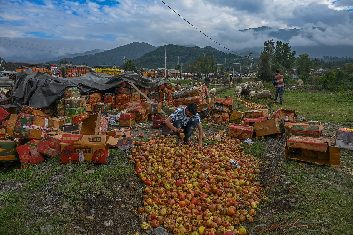Kashmiri Apples Grapple for Survival as Highway Closure Cripples Trade