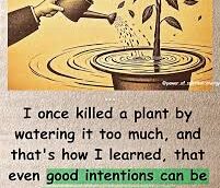 The Plant That Drowned: Overcare, Silent Suffocation, and the Emotional Cost of Good Intentions