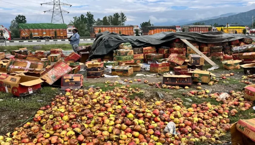 Kashmir Apple Crisis Deepens: NH-44 Blockade and Rail Bottlenecks Leave Thousands of Tones Rotting