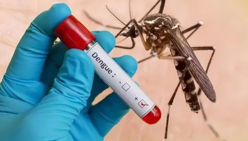 Jammu Battles Rising Dengue Outbreak: 1,200 Cases Expose Civic Gaps