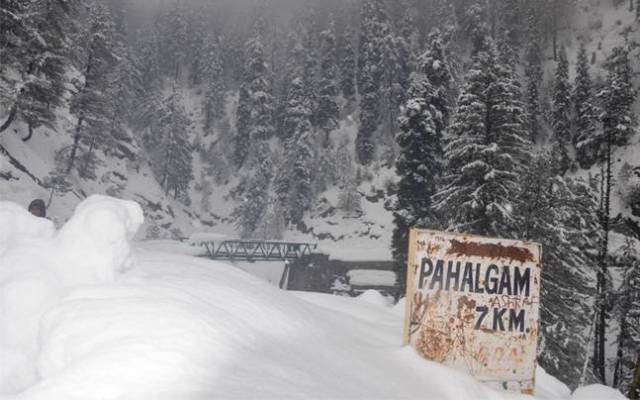Early Snowfall Blankets Pahalgam and Aru Valley as Pir Panjal Farmers Face Harsh Realities