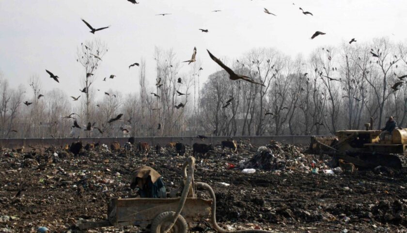 Trash Tower: Srinagar’s Ugly Truth and the SMC’s Test