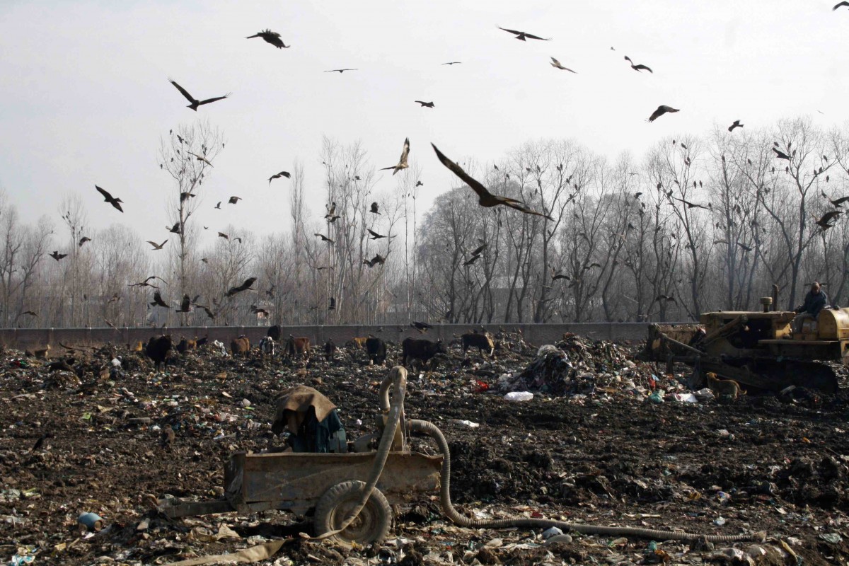 Trash Tower: Srinagar’s Ugly Truth and the SMC’s Test