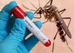 Jammu Battles Rising Dengue Outbreak: 1,200 Cases Expose Civic Gaps