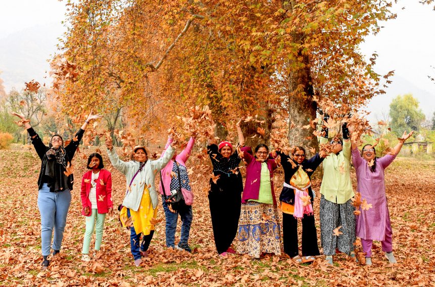 Kashmir Tourism Revival - After Tulips, Gul-e-Dawood (Chrysanthemums) Keep the Valley Blooming into Autumn