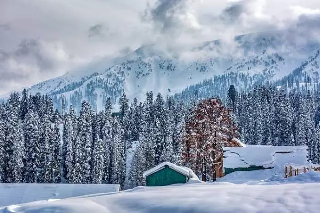 Kashmir Braces for Fresh Snow as Nights Stay Unseasonably Warm; Chenab Valley Cut Off Again and Srinagar-Leh NH Closed | Winter Weather Impact