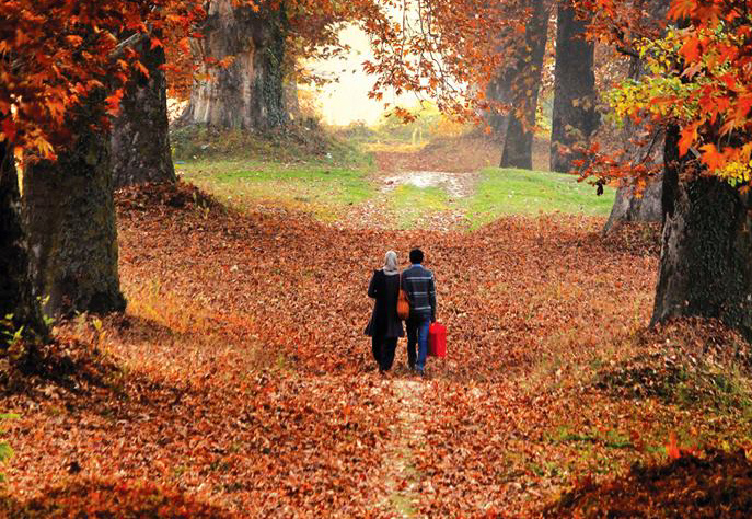 How Kashmir’s Autumn Became a Reel-World Sensation
