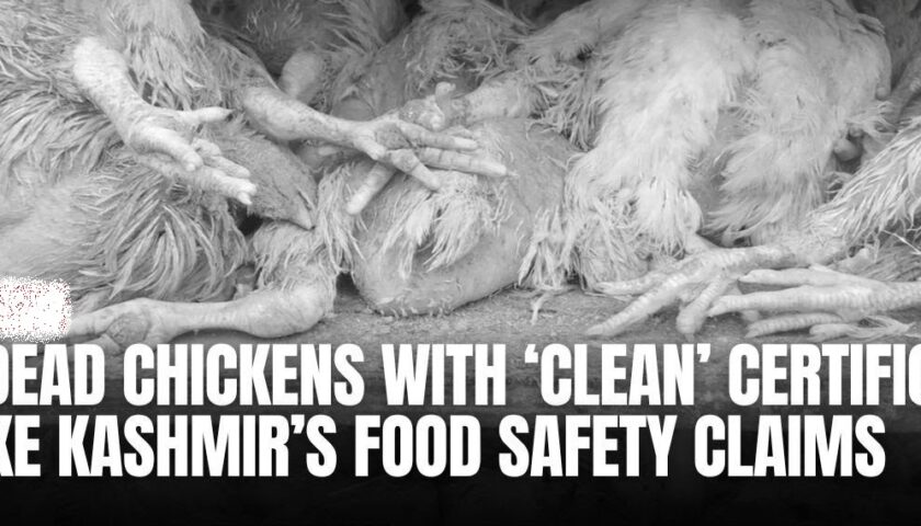 Kashmir’s Food Safety Crisis: How 119 Dead Chickens With a ‘Clean Certificate’ Exposed a Broken System