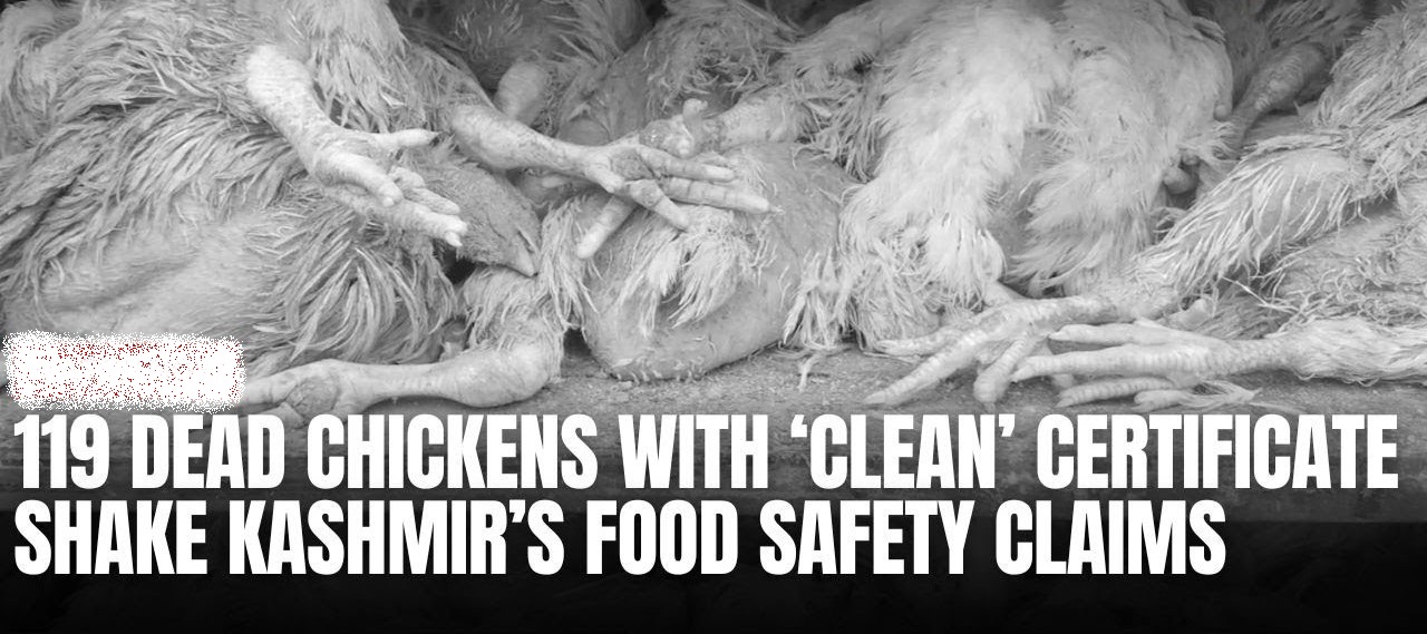 Kashmir’s Food Safety Crisis: How 119 Dead Chickens With a ‘Clean Certificate’ Exposed a Broken System