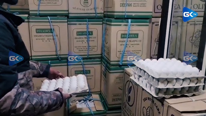 No Eggoz Eggs Found in Kashmir, DFA Clarifies: Testing Underway to Calm Adulteration Fears