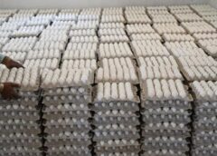 Adulteration Everywhere, Authorities in Hibernation: How a Toxic Egg Scare Unveiled a Food Safety Crisis in Jammu & Kashmir