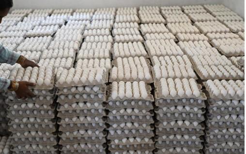 Adulteration Everywhere, Authorities in Hibernation: How a Toxic Egg Scare Unveiled a Food Safety Crisis in Jammu & Kashmir