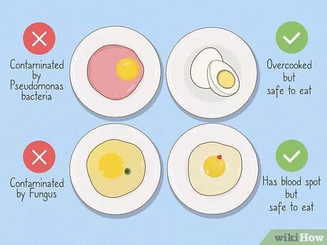 Warning Signs Eggs Are No Longer Safe to Eat: A Complete Health & Food Safety Guide