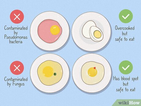 Warning Signs Eggs Are No Longer Safe to Eat: A Complete Health & Food Safety Guide
