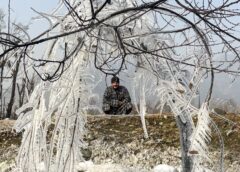 Winter Tightens Its Grip on Kashmir: Sub-Zero Temperatures, Power Crunch & Frosty Lives
