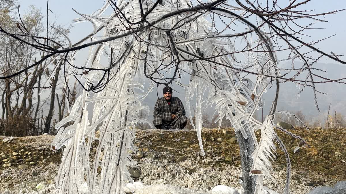 Winter Tightens Its Grip on Kashmir: Sub-Zero Temperatures, Power Crunch & Frosty Lives