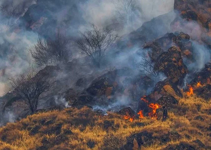 Forest Fires Ravage Kashmir Valley in Unprecedented Spate