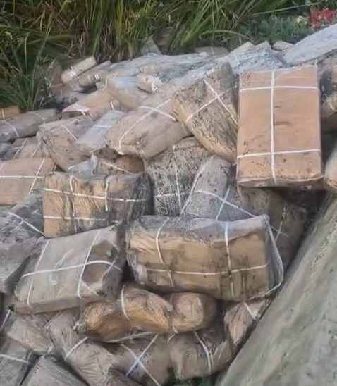 Uninsulated Meat Consignment Seized in Jammu: A Wake-Up Call on Food Safety, Public Health, and Regulatory Enforcement