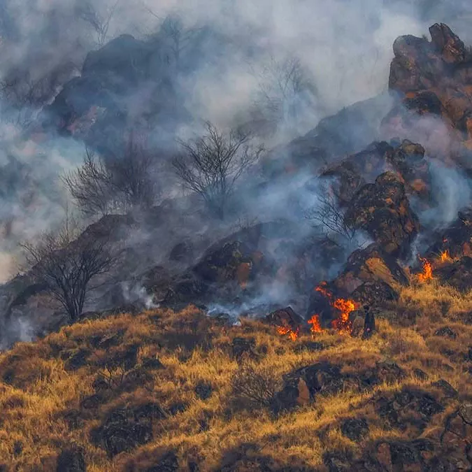 Forest Fires Ravage Kashmir Valley in Unprecedented Spate