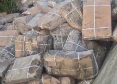 Uninsulated Meat Consignment Seized in Jammu: A Wake-Up Call on Food Safety, Public Health, and Regulatory Enforcement