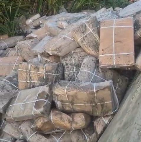 Uninsulated Meat Consignment Seized in Jammu: A Wake-Up Call on Food Safety, Public Health, and Regulatory Enforcement