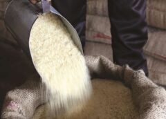 India’s New 3-Month Ration Policy Begins April 2026: A Game-Changer for Jammu & Kashmir’s Food Security