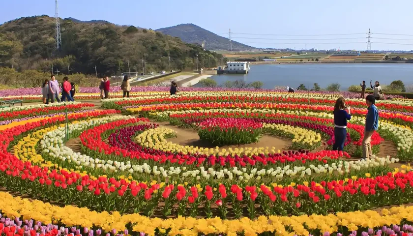 Kashmir Tulip Festival 2026 Opens March 16 in Srinagar: Asia’s Largest Tulip Garden Set to Bloom With 1.7 Million Flowers