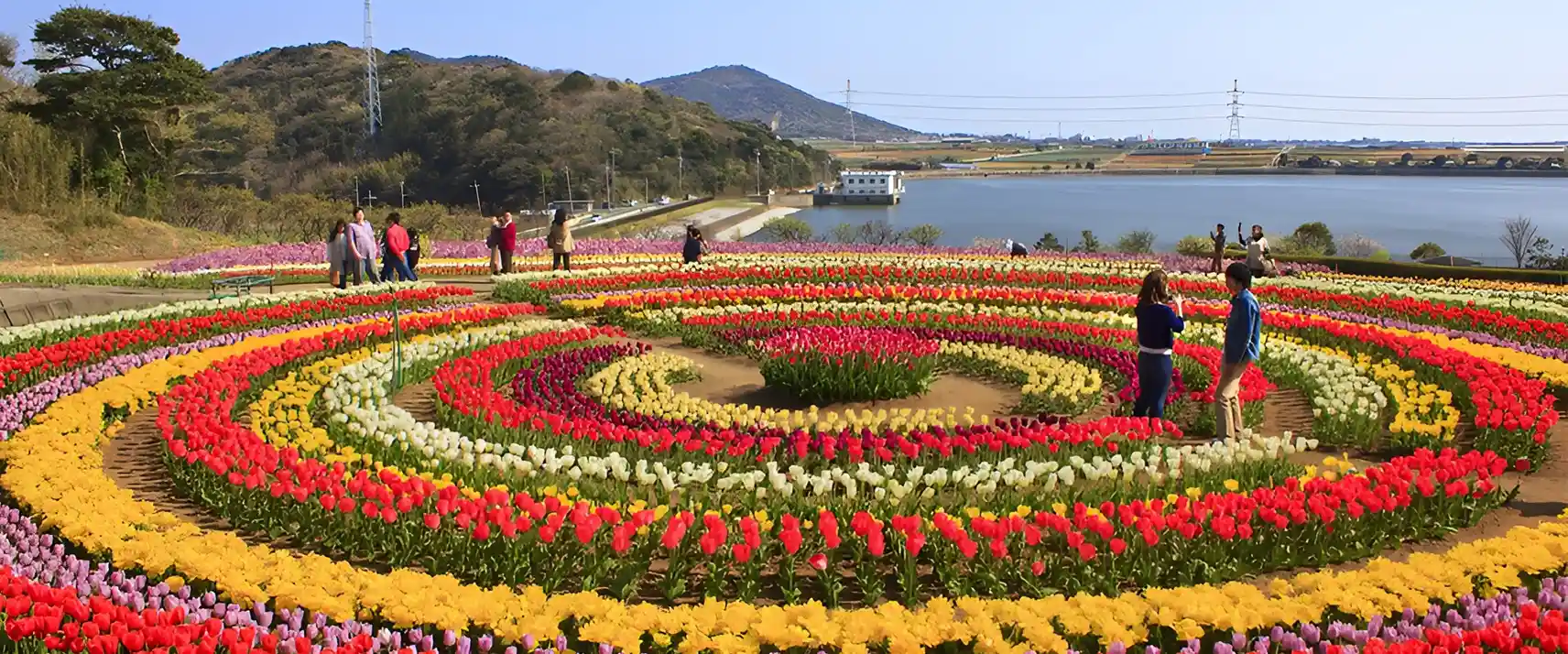 Kashmir Tulip Festival 2026 Opens March 16 in Srinagar: Asia’s Largest Tulip Garden Set to Bloom With 1.7 Million Flowers