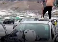 Kashmir’s Tourism Crisis: Littering, Loud Parties and “Zero Civic Sense” Are Threatening India’s Paradise