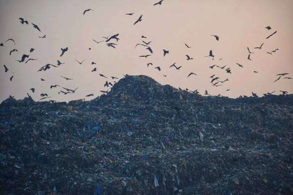 Achan Dumping Site Crisis in Srinagar: Toxic Waste Threatens SKIMS, Public Health & Environment