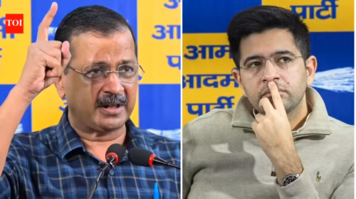 Raghav Chadha’s Exit from AAP: Internal Rift, Leadership Strain or Political Strategy?