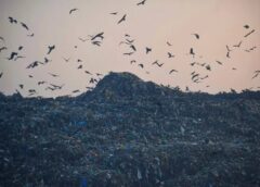 Achan Dumping Site Crisis in Srinagar: Toxic Waste Threatens SKIMS, Public Health & Environment