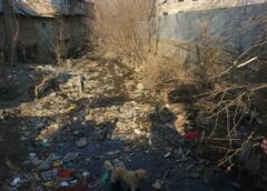 Kashmir Water Crisis 2026: 23% Water Bodies Lost, 315 Lakes Vanished Since 1967