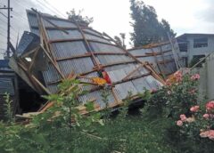 Kashmir Weather Alert: Strong Winds, Hailstorms Batter Valley; Orchards Hit Hard in Kulgam & Baramulla