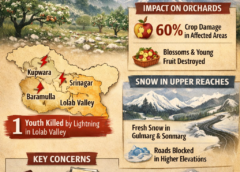 Kashmir Hailstorm Damages Apple Orchards, Lightning Kills Youth in Lolab as Fresh Snowfall Returns to Higher Reaches