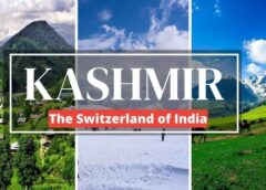 Kashmir Vs Switzerland: Why Travelers Say Jammu & Kashmir Offers the Same Magic with a Unique Soul